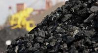 Faulty Coal Imports Forced Costly Power Generation